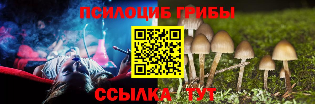 Псилоцибиновые грибы мицелий  Вход с VPN  Заволжье 